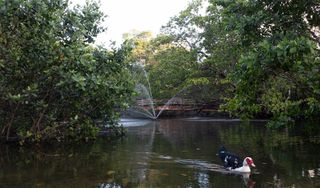 Enchanted Forest Park