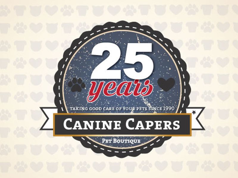 Canine Capers | Dog Groomers Plantation photo