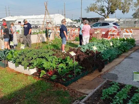 UF/IFAS Extension Seminole County Services and Teaching Gardens photo