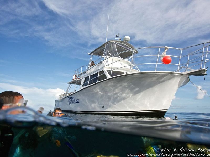 Key Dives photo