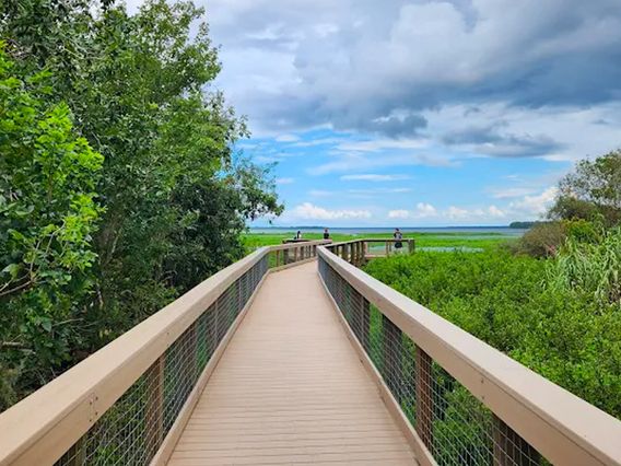 Spring Hammock Preserve photo