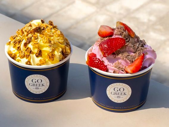 Go Greek Yogurt photo