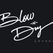 Blow -n- Dry Lounge logo