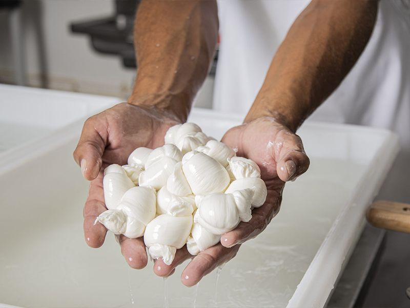 Mimmo's Mozzarella Italian Market , Cafe & Cheese Factory photo