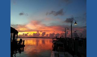 Easy Adventures Boat Tours
