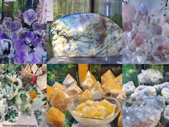 Hidden Gems Botanica photo