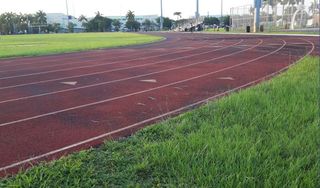 Cagni Park