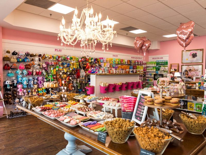 Woof Gang Bakery & Grooming photo