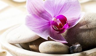 Pecan's Day Spa