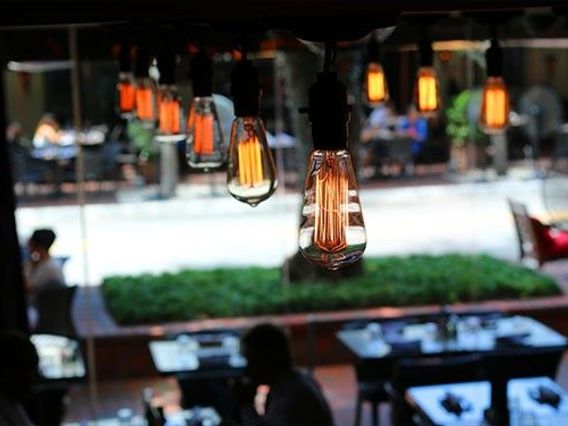 Lulu in the Grove photo