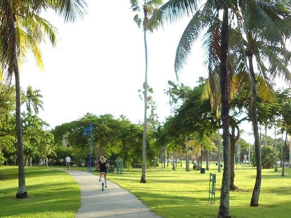 Freebee Circulator - Peacock Park photo