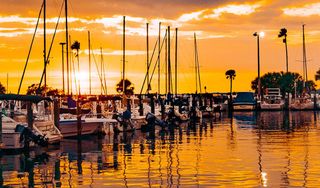 Dunedin Marina