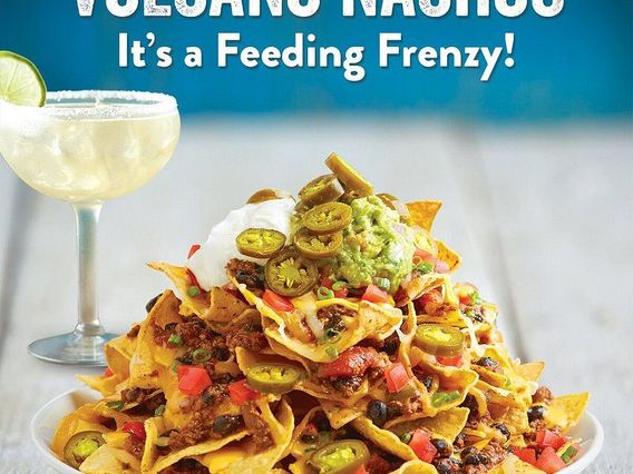 Margaritaville @Bayside photo