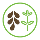 Date & Thyme Organic Cafe and Market logo