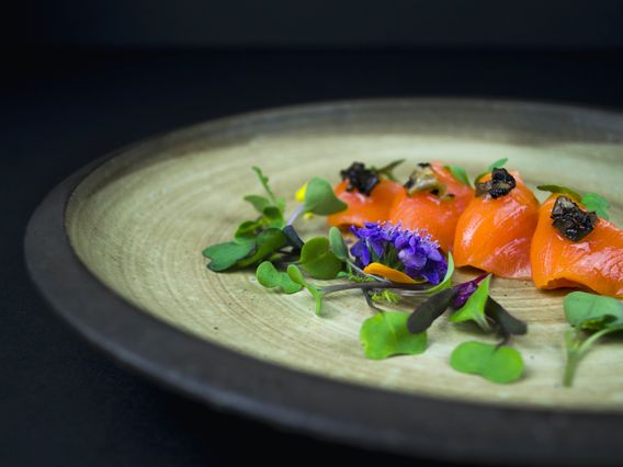 Totoya Sushi - Altamonte Springs photo