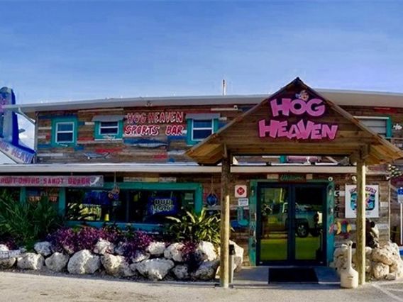 Hog Heaven photo