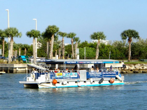 Indian River Lagoon & Swampland Boat Tours photo