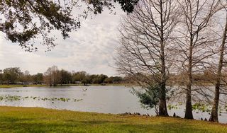 Lake Dot Park