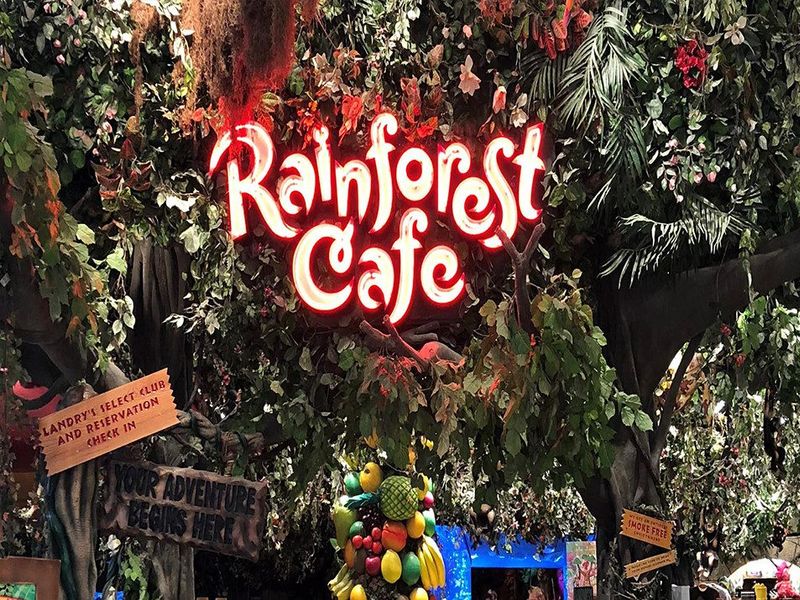Rainforest Cafe photo
