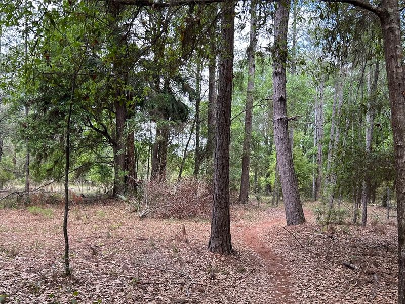 Markham Trailhead and Mountain Bike Skills photo
