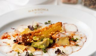 Narbona Coconut Grove