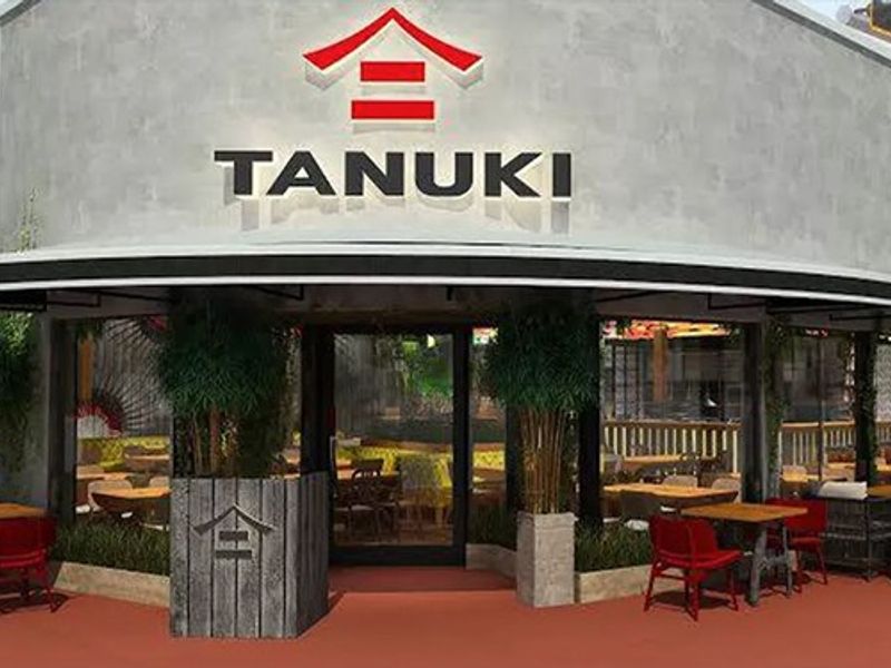 Tanuki photo