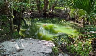 Spring Hammock Preserve