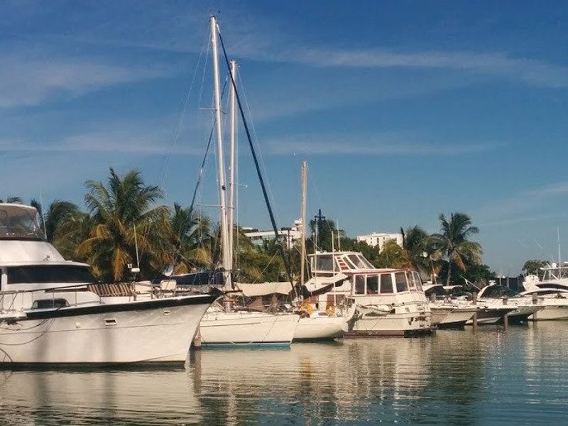 Pelican Harbor Marina photo