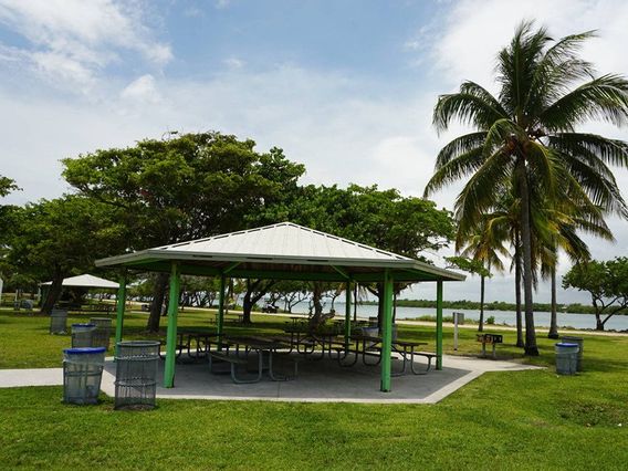 Haulover Park Picnic Area photo