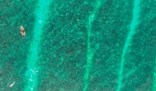 Little Jim Paddleboard & Kayak Rentals