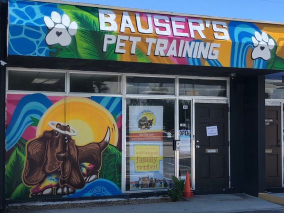 Bauser's Pet Training photo