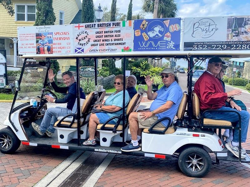 Mount Dora Transit and Tours photo