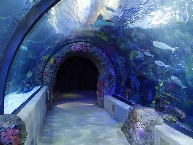 Virginia Aquarium & Marine Science Center photo