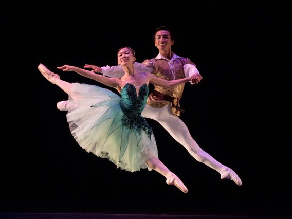 Arts Ballet Theatre of Florida photo