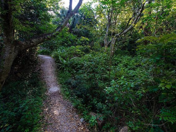 Arch Creek Park & Nature Center photo