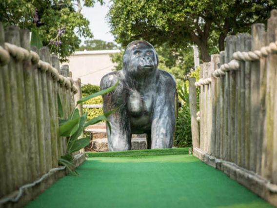 Jungle Golf photo