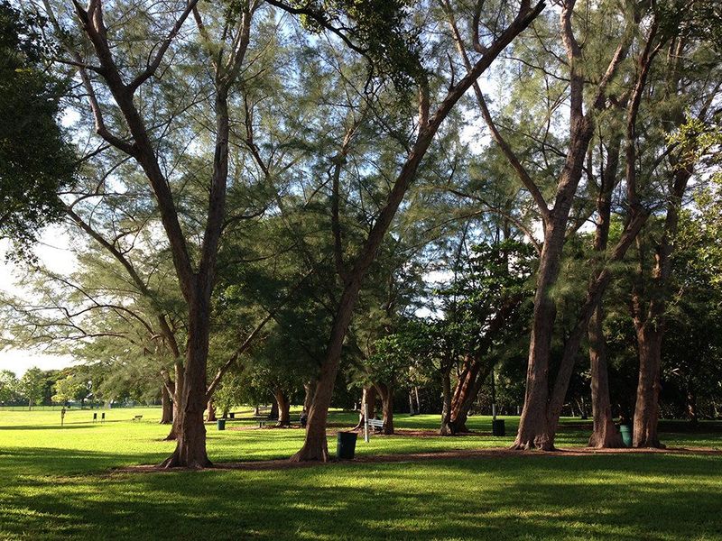 Kennedy Park photo