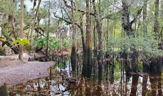 Econ River Wilderness Area
