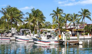 Key West Bight Marina